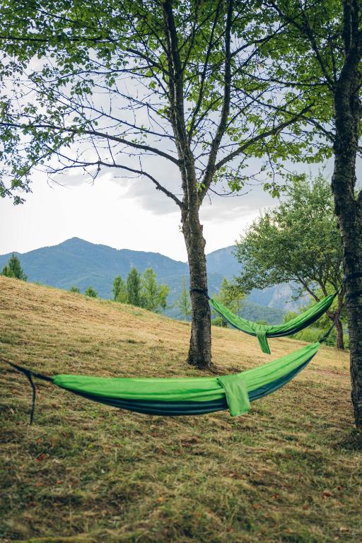 Campsite detail in Sutjeska National Park