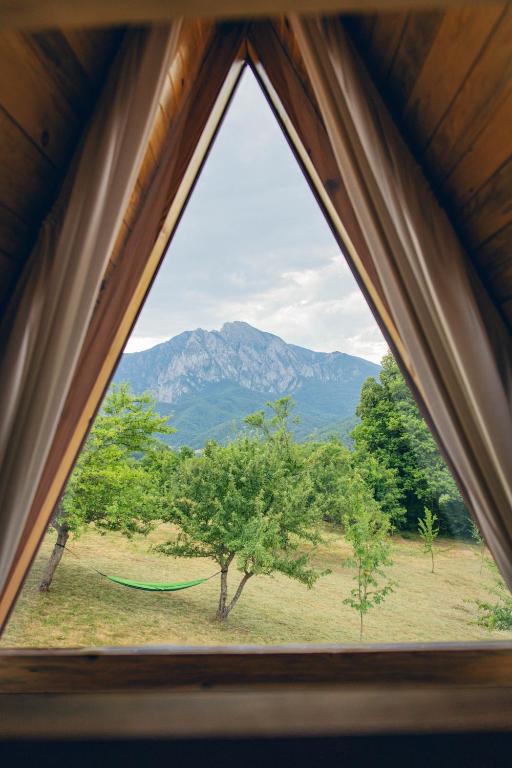 Nature around the campsite in Sutjeska National Park