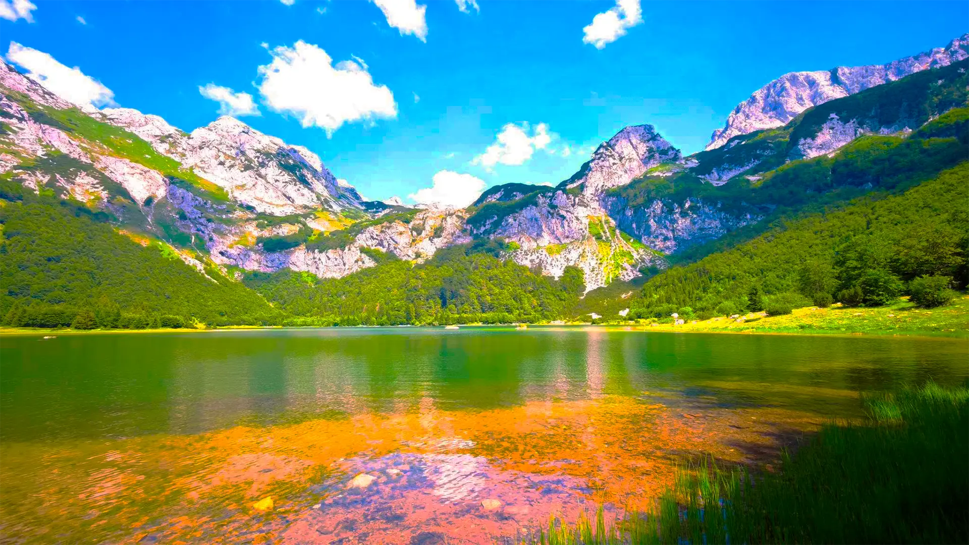 Trnovačko Lake tour photo 6